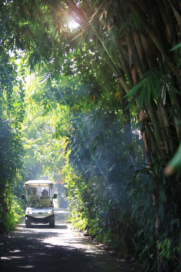 Artist Village By Pramana Watu Kurung Ubud Eksteriør bilde